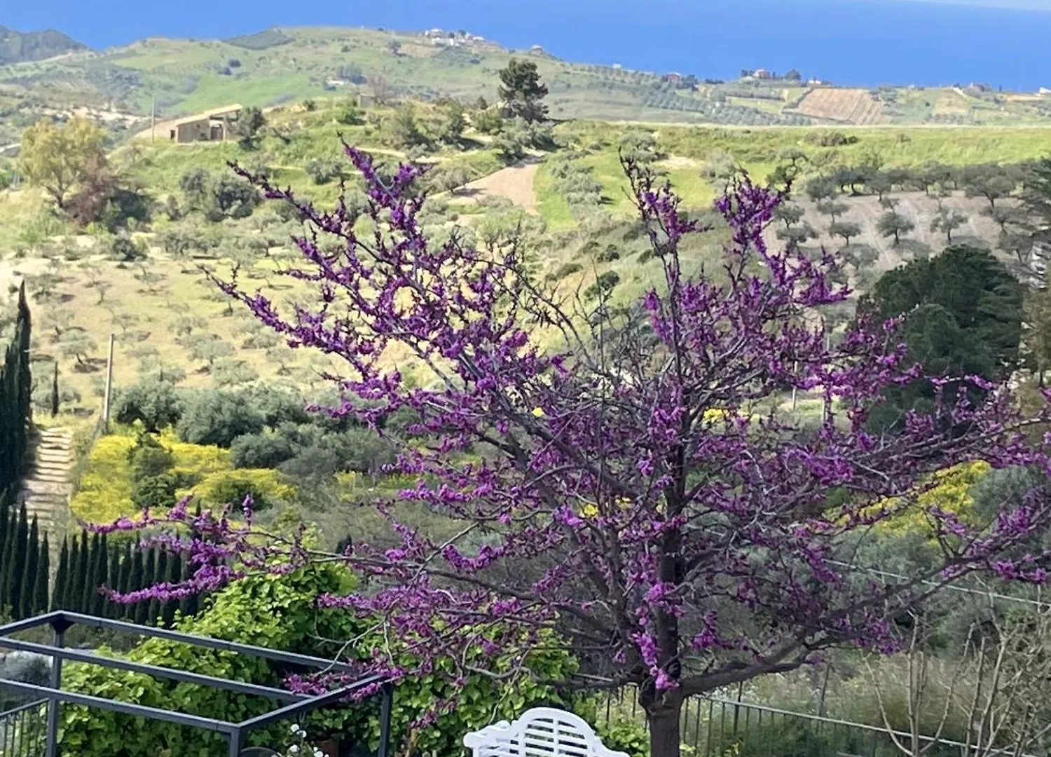 Farm stay Casa Balata Farm House Realmonte